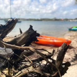 Pelican Sport Pulse 100X With Paddle Kayak 23 Pelican Sport Pulse 100X With Paddle Kayak -Pelican Sport Boating KOS10P102 00 LS4