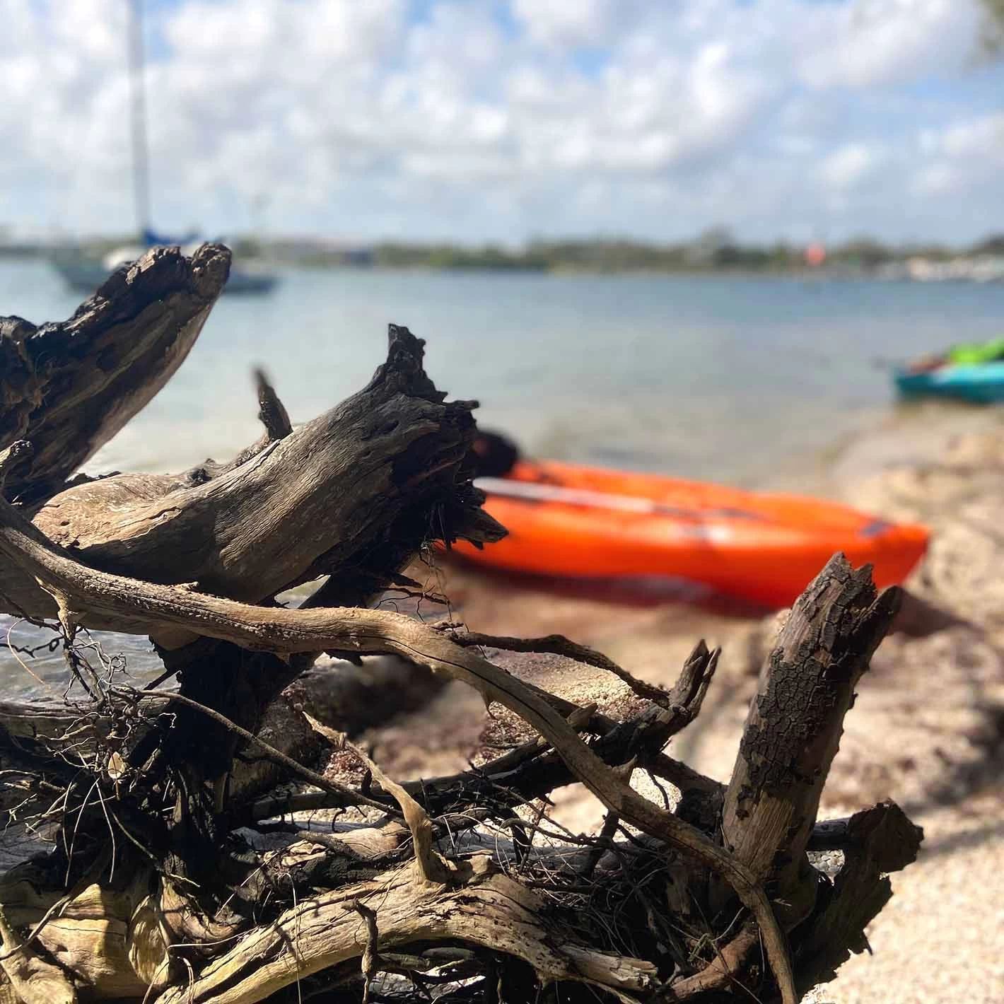 Pelican Sport Pulse 100X With Paddle Kayak 12 Pelican Sport Pulse 100X With Paddle Kayak - Image 10